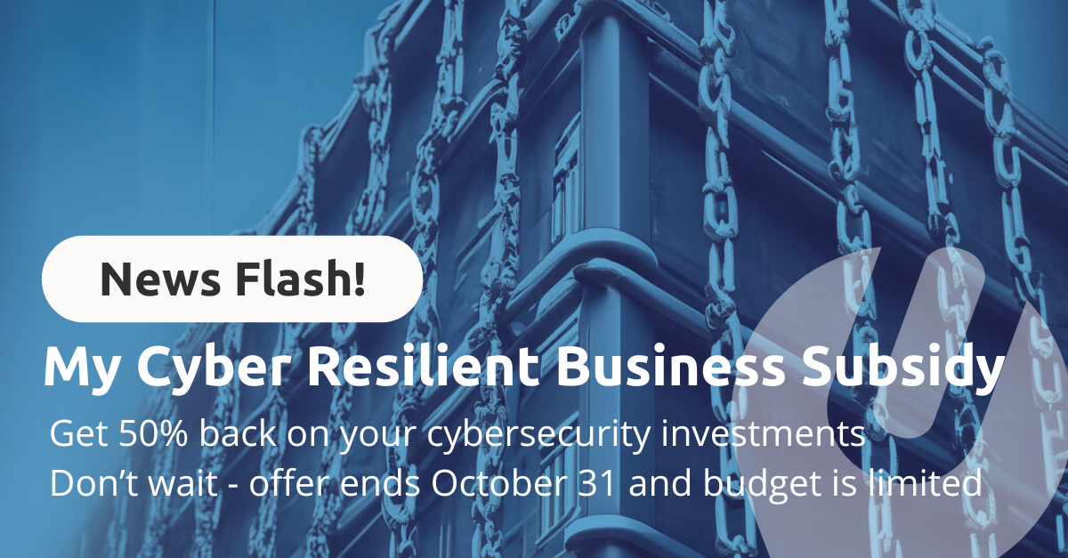 mijn cyberbestendige bedrijfssubsidie